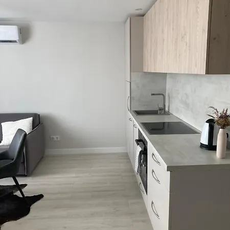 Modern And Cozy Near The Sea Palanga